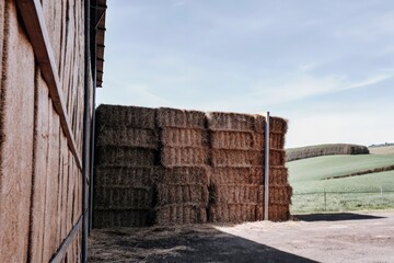 Fototapeta premium Tall stacks of hay bales beside a wooden barn in a rural countryside setting.