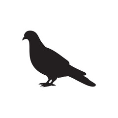 illustration of a pigeon silhouette vector art Illustration, Beautiful bird pigeon silhouette black icon vector art illustration