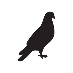 illustration of a pigeon silhouette vector art Illustration, Beautiful bird pigeon silhouette black icon vector art illustration