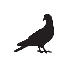 illustration of a pigeon silhouette vector art Illustration, Beautiful bird pigeon silhouette black icon vector art illustration
