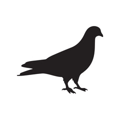 illustration of a pigeon silhouette vector art Illustration, Beautiful bird pigeon silhouette black icon vector art illustration