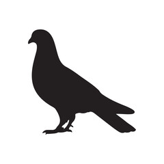 illustration of a pigeon silhouette vector art Illustration, Beautiful bird pigeon silhouette black icon vector art illustration