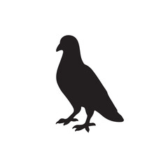 Obraz premium illustration of a pigeon silhouette vector art Illustration, Beautiful bird pigeon silhouette black icon vector art illustration