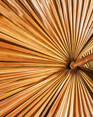 Texture of a dry tropical leaf with a fan-shaped pattern and golden-brown hues