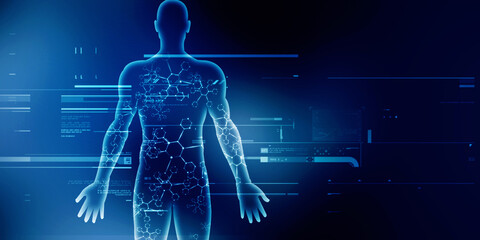 2d illustration Human Male Muscle Body
