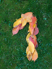 The number one (1) formed from colorful autumn leaves on green background