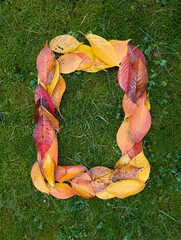The number zero (0) formed from colorful autumn leaves on green background