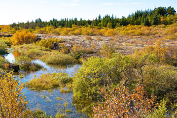 National park, Thingvellir, in Iceland, at autumn,