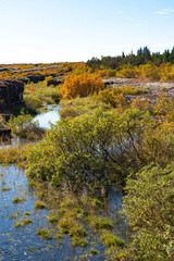 National park, Thingvellir, in Iceland, at autumn,