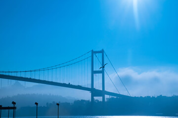 Pigeons flying over the Bosphorus on a foggy morning. The 15 July Martyrs Bridge and Ortaköy Mosque in a fog. 