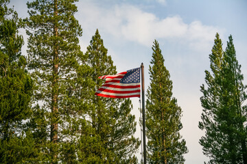 The USA American flag waving proudly in the pine tree forests of Northern California. American flag in nature.