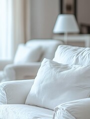 Modern Living Room with White Sofa