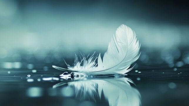 single white feather landing slowly still unt ffdc afcfec generated illustration