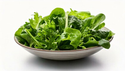 Freigestellte Sch&uuml;ssel mit gr&uuml;nem Gartensalat &ndash; Perfekt f&uuml;r gesunde Ern&auml;hrungskampagnen