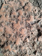 stone wall texture nature abstract