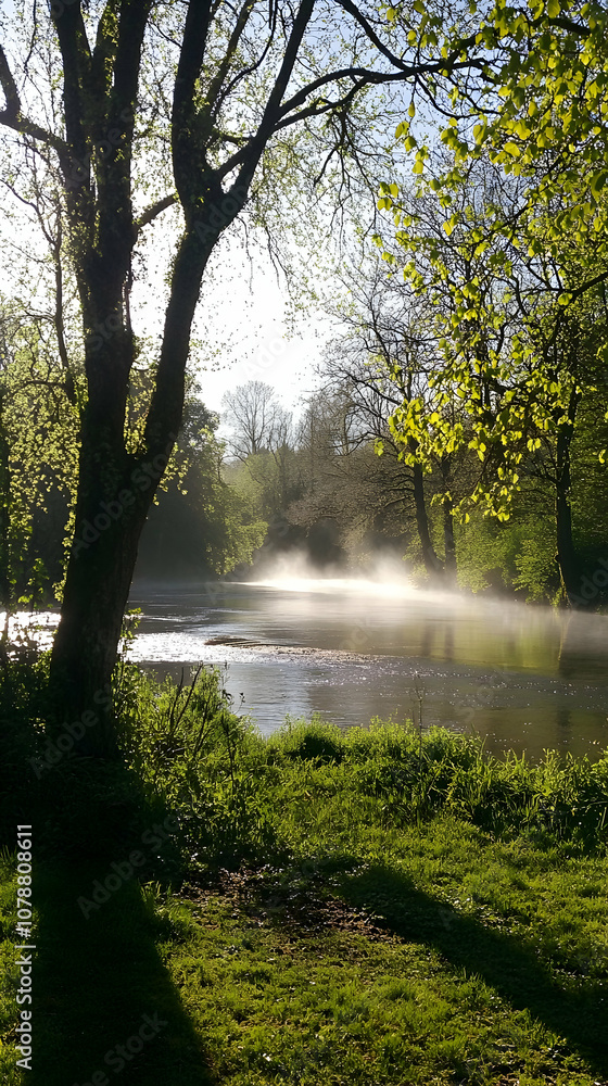 Poster sunlight filtering through trees and mist over a calm river in a serene natural setting.