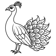 Peacock coloring pages