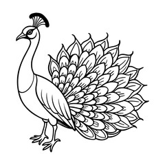 Naklejka premium Peacock coloring pages