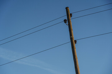 Utility Pole with Power Lines Against Clear Blue Sky