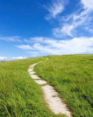 Serene Footpath Through a Lush Meadow with Tall Grass Swaying Gently in the Wind Beneath a Bright Blue Sky with Fluffy White Clouds
