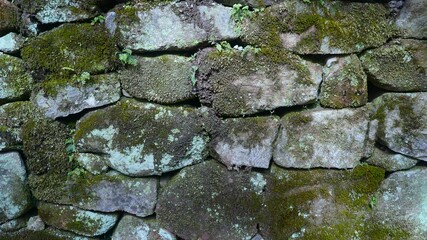 stone wall with moss