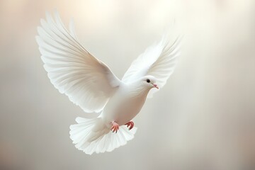On a white background, a white dove flies freely. Generative Ai