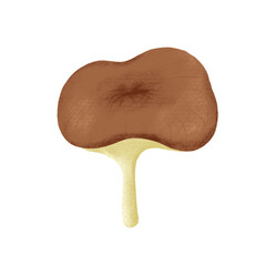 An illustration of a brown mushroom with a hole on top of its cap.