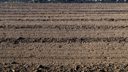 Plowed field under sunlight. Freshly plowed land