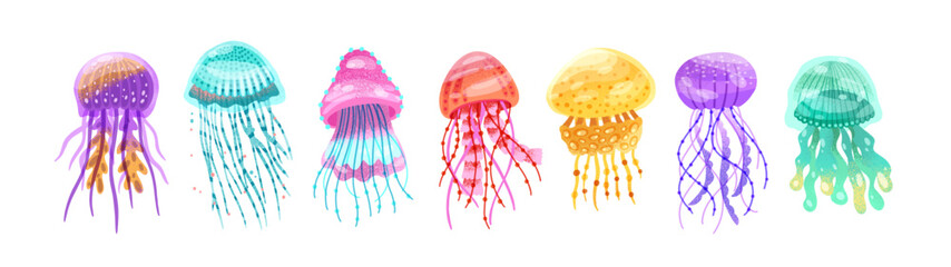 Jellyfishes set. Medusa floating. Marine underwater invertebrate animals, jelly fishes. Aquatic sea and ocean fauna with gelatinous bridles. Flat vector illustration isolated on white background