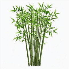 Green bamboo stems with leaves, cut out isolated on white a background