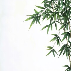 Elegant bamboo leaves cascading against a soft, neutral background, perfect for peace and tranquility themes in design.