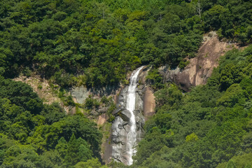 Waterfall in Dense Forest