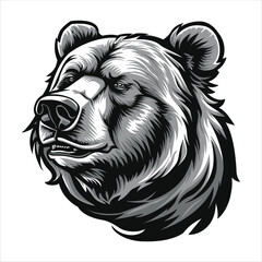 Bear Illustration Black White