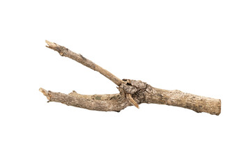 Dry tree twigs branches isolated on white background with clipping path.
