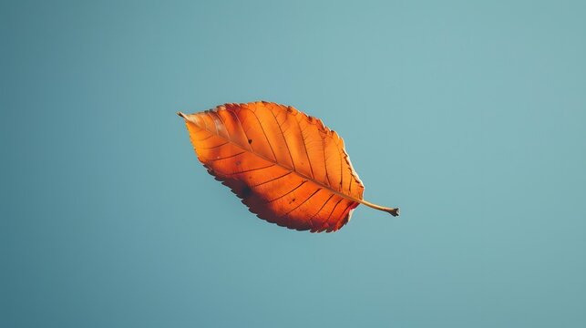 Falling autumn leaf captured slowly minimalist fafa ded generated illustration