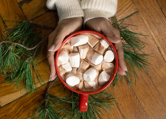 Warm hands holding cocoa cup with marshmallows