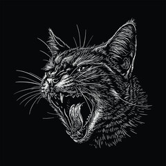 Cat Drawing Vector Black White