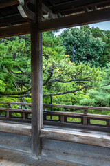 Wooden porch overlooking tranquil japanese garden with lush greenery