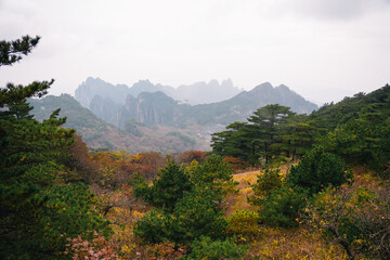 Autumn landscape with vibrant colors in the Yellow Mountain, Huangshan, China
