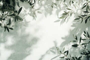 Elegant Blank Card Mockup with Olive Branches and Sunlight, Web Banner with Copy Space