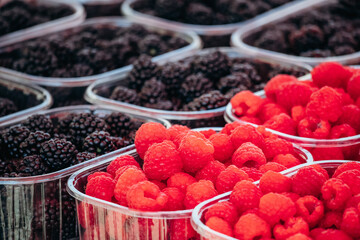 Blackberries and raspberries at the Zagreb market