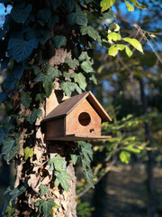 Cozy Birdhouse Among the Vines