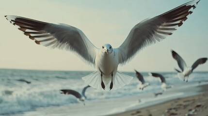 Obraz premium Graceful seagulls soaring above the tranquil beach at sunset, capturing a moment of nature's beauty and marine serenity with a soft pastel sky in the background.