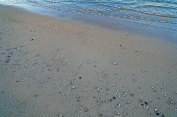 Shells and Coral Bits on a Tan Sand Beach in Waikiki, Hawaii.