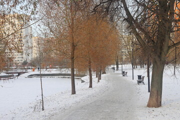 Alley in a winter park, frozen pond in landscape steam, South Butovo, Moscow, December 2022, 2