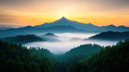 Obraz premium Serene Valley at Sunrise with Lush Misty Landscape