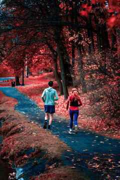 personas corriendo por el bosque