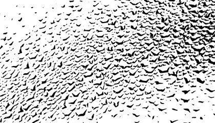 Black and white grunge pattern. Rough effect texture for background and jersey design. Fully editable vector element. Vector Format Illustration 