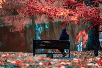 paisaje de otoño 