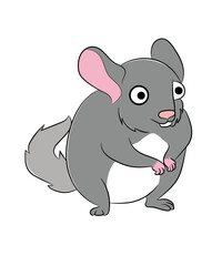 Chinchilla